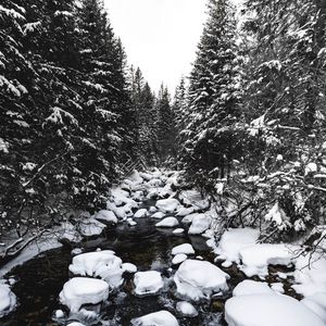 Превью обои река, снег, деревья, камни, вода, зима