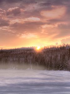 Превью обои река, снег, деревья, лед