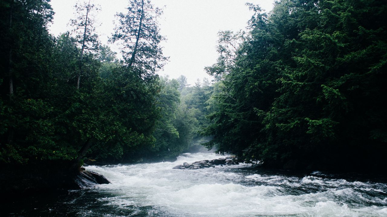 Обои река, течение, деревья