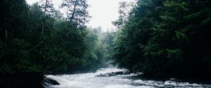 Превью обои река, течение, деревья