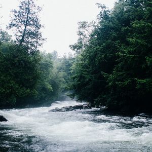 Превью обои река, течение, деревья