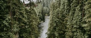 Превью обои река, течение, деревья