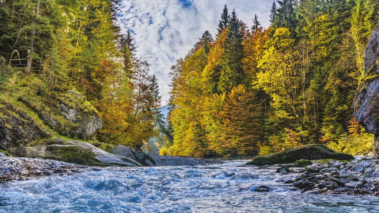 Обои река, течение, деревья, осень