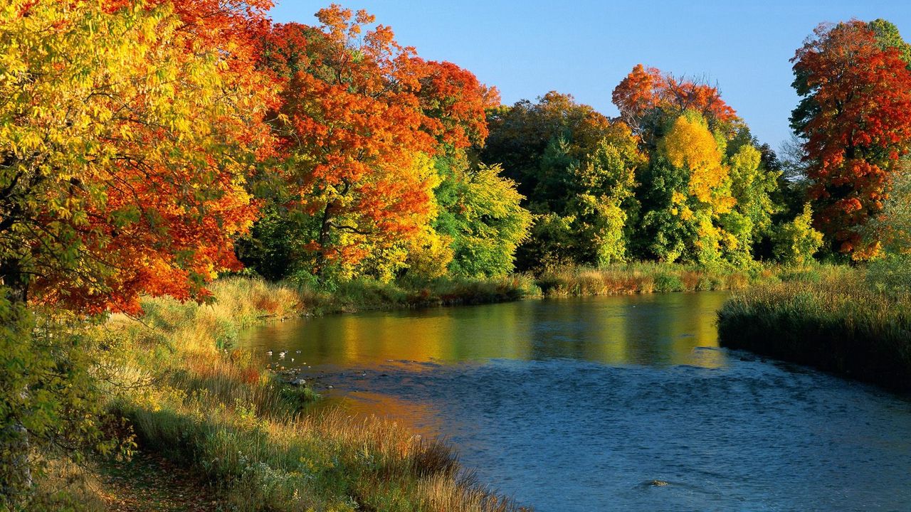 Обои река, течение, деревья, осень