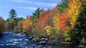 Превью обои река, течение, деревья, осень