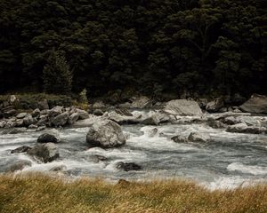 Превью обои река, течение, камни, деревья, трава