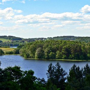 Превью обои река, трава, деревья, лето, красиво