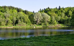 Превью обои река, трава, деревья, берег