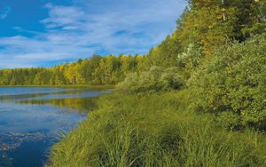 Превью обои река, трава, лето, деревья