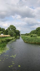 Превью обои река, трава, парк, деревья, нидерланды