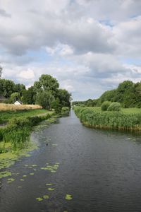 Превью обои река, трава, парк, деревья, нидерланды