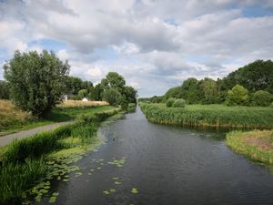 Превью обои река, трава, парк, деревья, нидерланды