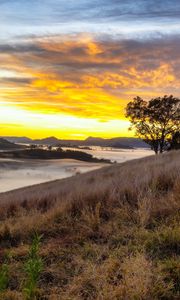 Превью обои река, туман, берег, закат, облака