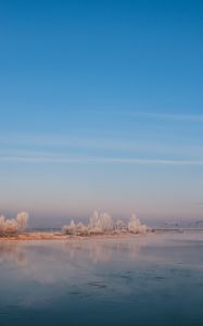 Превью обои река, туман, берег, деревья, кусты