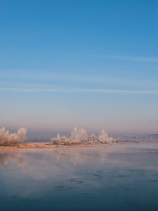 Превью обои река, туман, берег, деревья, кусты