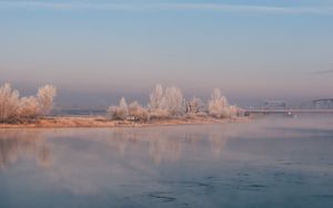 Превью обои река, туман, берег, деревья, кусты