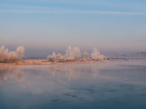 Превью обои река, туман, берег, деревья, кусты