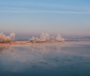 Превью обои река, туман, берег, деревья, кусты