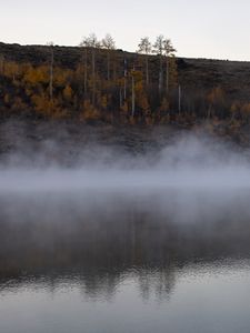 Превью обои река, туман, деревья, пейзаж, природа