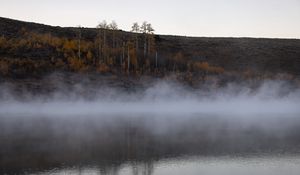 Превью обои река, туман, деревья, пейзаж, природа