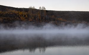 Превью обои река, туман, деревья, пейзаж, природа