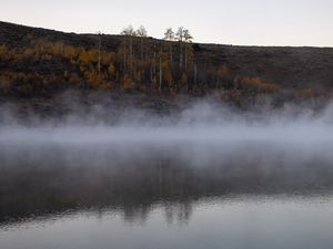 Превью обои река, туман, деревья, пейзаж, природа