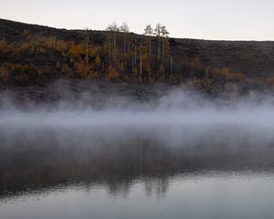 Превью обои река, туман, деревья, пейзаж, природа