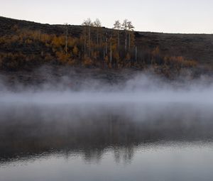 Превью обои река, туман, деревья, пейзаж, природа