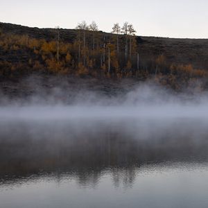 Превью обои река, туман, деревья, пейзаж, природа