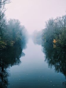 Превью обои река, туман, деревья, кусты, отражение