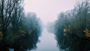 Превью обои река, туман, деревья, кусты, отражение