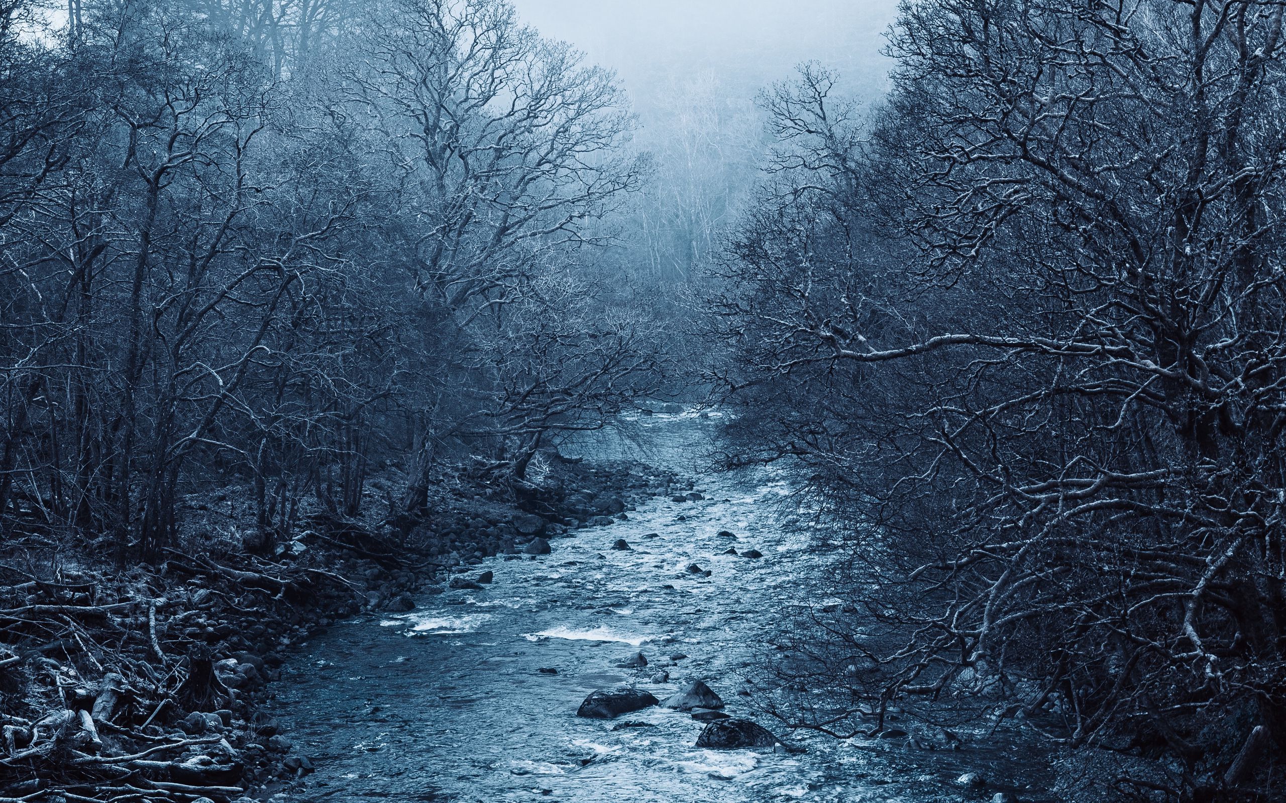 Бежит река в тумане слушать. Обои природа туман. Густой зимний лес обои 1920х1080. Старое дерево в тумане.
