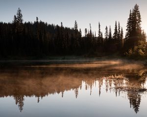 Превью обои река, туман, деревья, отражение