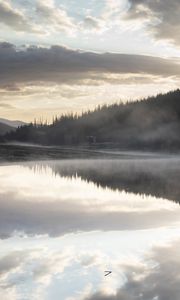 Превью обои река, туман, лес, деревья, облака