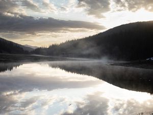 Превью обои река, туман, лес, деревья, облака