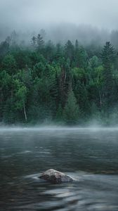 Превью обои река, туман, лес, деревья, камень