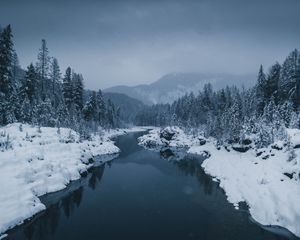 Превью обои река, туман, снег, зима, деревья