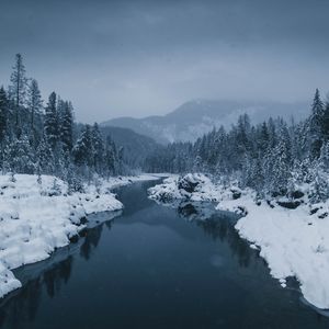 Превью обои река, туман, снег, зима, деревья