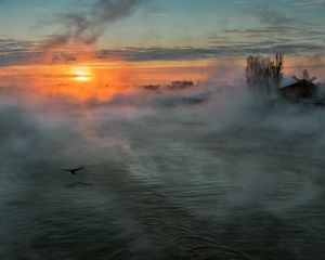 Превью обои река, туман, солнце, утро, мгла, дома, птица, полет