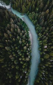 Превью обои река, вид сверху, извилистый, деревья, лес