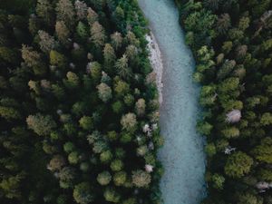 Превью обои река, вид сверху, извилистый, деревья, лес