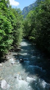 Превью обои река, вода, деревья, лес, пейзаж, природа