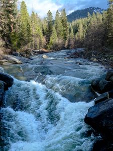 Превью обои река, вода, деревья, природа