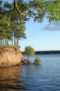 Превью обои река, вода, дерево, ветка, куст, берег, глина