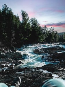 Превью обои река, вода, камни, деревья, природа, ноги, пейзаж