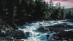 Превью обои река, вода, камни, деревья, природа, ноги, пейзаж