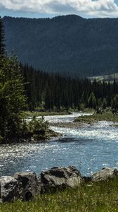 Превью обои река, вода, лес, деревья, пейзаж, природа
