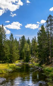 Превью обои река, вода, лес, деревья, природа, пейзаж