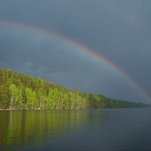 Превью обои река, вода, радуга, лес, пейзаж