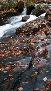 Превью обои река, водопад, камни, листья, осень, природа